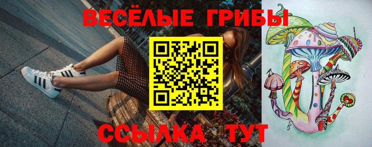 Галлюциногенные грибы Psilocybine cubensis  Псилоцибиновые грибы Magic Shrooms  Донской  Вход с VPN 